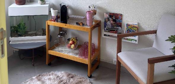 Clínica Flor de Lótus tem como referência a atuação de Cristiane Perez Antunes em Sorocaba