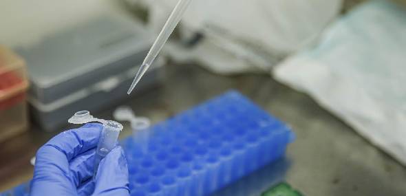 Diagnóstico de alta precisão apoia combate à gripe K no Brasil