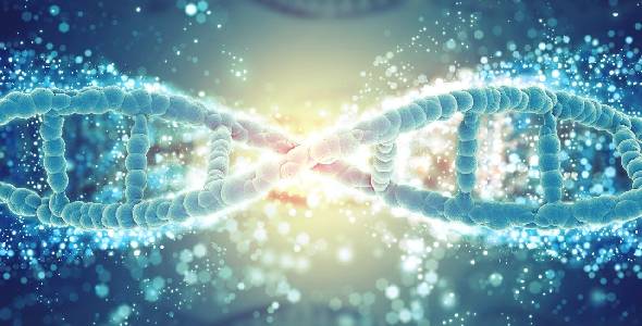 Estudo genético para prevenção e o tratamento de doenças