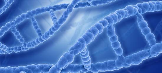 Genética: câncer pode ser hereditário?