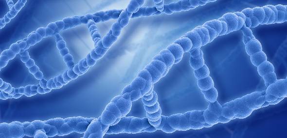 Genética: câncer pode ser hereditário?