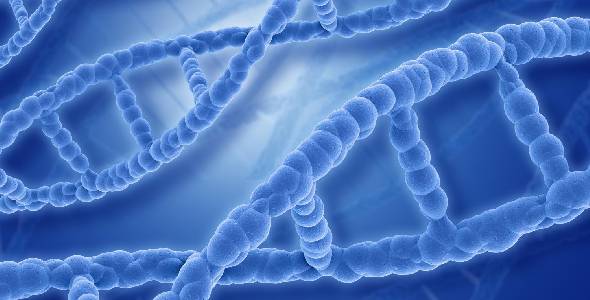 Genética: câncer pode ser hereditário?