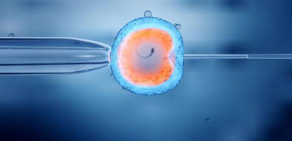 Medicina reprodutiva: infertilidade e preservação da fertilidade