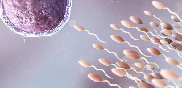 Reprodução humana: é possível ter filhos após o câncer?