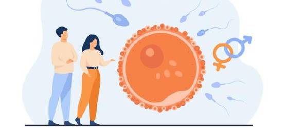 Reprodução humana: gravidez, medicina fetal e parto
