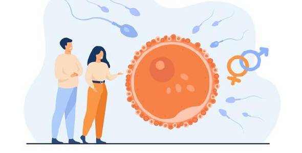 Reprodução humana: gravidez, medicina fetal e parto